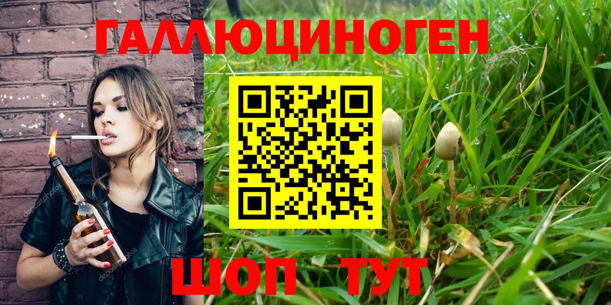 Псилоцибиновые грибы Cubensis  Вход с VPN  Углич  Галлюциногенные грибы Psilocybine cubensis 